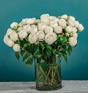 Розы | Поштучно