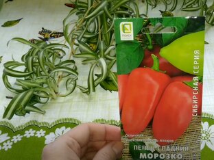 Семена.