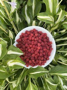 Вкусно, полезно и так просто!