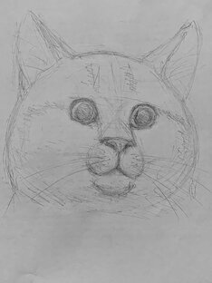 Мои наброски