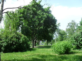 Заказы Faberlic