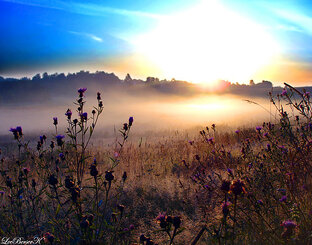 Ирина про благодарность