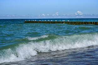 Калининград. Большое Балтийское приключение