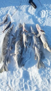 Зимняя рыбалка. 