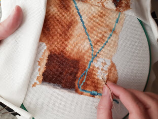 Мысли и полезности