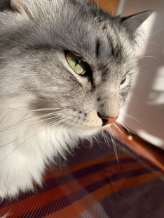 Все-все про Семёна.