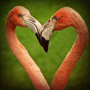 МУЖЧИНА и ЖЕНЩИНА.