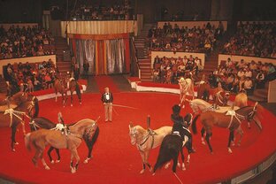 Советский цирк