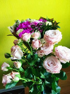 К р а с и в о