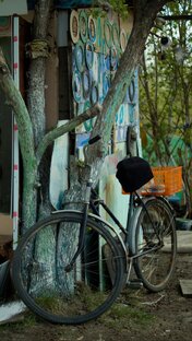 🎞Street Photos📷