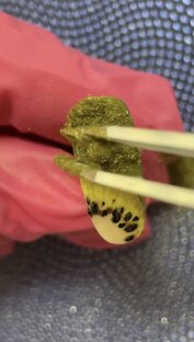 Видео 💅🏼😍