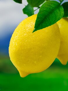Полезно знать🍋