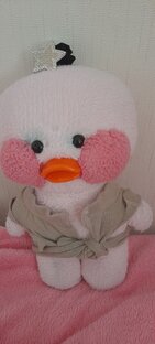 Я помыла тайру