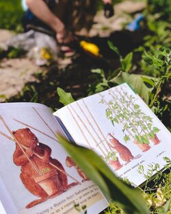 Книги для трёх лет 