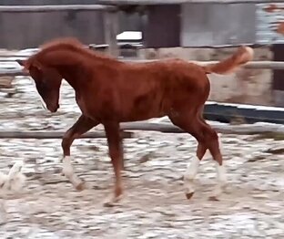 Продажа!!! Sale!!!