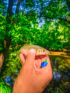 Отчёты о рыбалке 