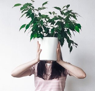 Мой цветник