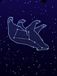 ✨ Созвездие Большая Медведица ✨ 