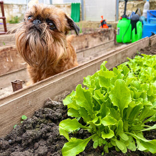 Познавательные статьи