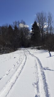 Дороги Средилесья.