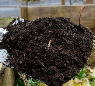 Подкормки растений