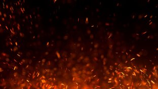 Интервью с автором