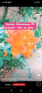 Всевишный возьмёт тебя за руку, если ты сделал все правильно. 