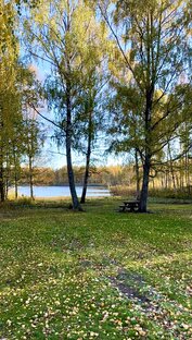 Осенняя красота природы🍁