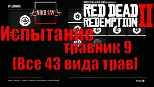 Red Dead Redemption 2 [Испытания]