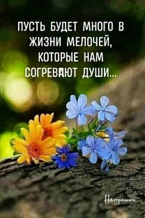Стихи о жизни, стихи со смыслом
