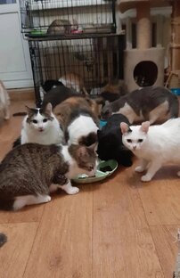 #4. Передержка Екатерины. Дальнее засвияжье.