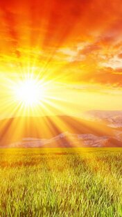 Таро гадание «ПРОГНОЗ ДНЯ»! 🌞