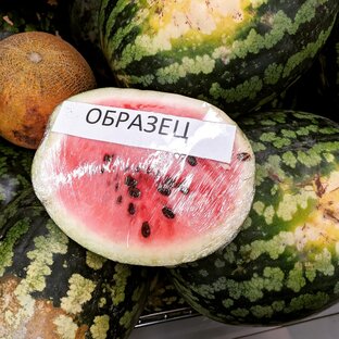Стихи