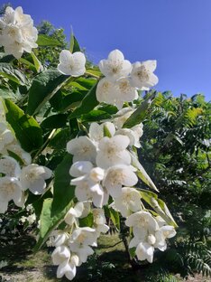 Более свежее.