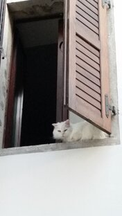 Бытовые хлопоты.