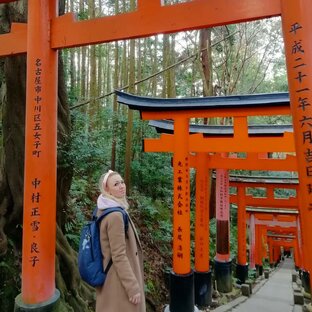 Как дешево слетать в Японию