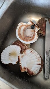 Вкусное французское