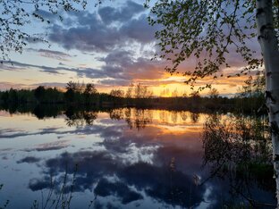 Летние вечера 