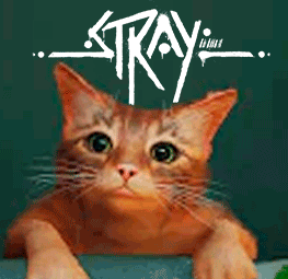 Stray _ Прохождение