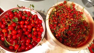 Рецепты, заготовки