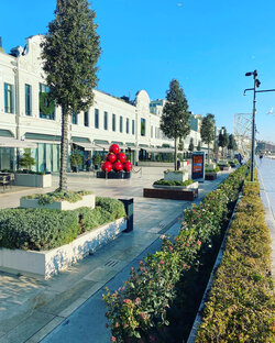 А как у них? Зарубежные примеры ландшафтного дизайна других стран