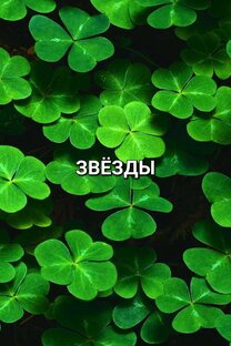 Описание даты звёзд