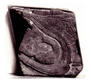 Невероятные исторические находки