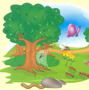 3 класс. 1 часть. Звездный Английский. Домашнее задание.