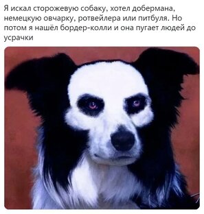 Привет народ 