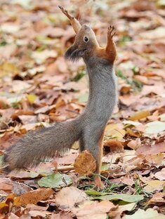 Духовный поиск