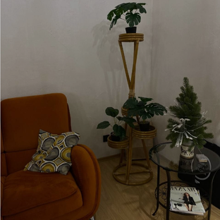 Кейсы таргет Вк для студий красоты!