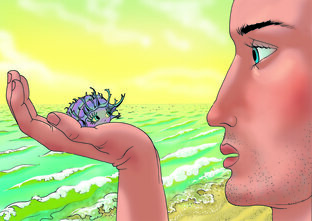 Неторопливая жизнь на моем американском дворике