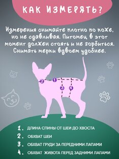 Размерная сетка