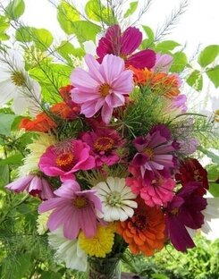 Мои цветы в 2021 году. 